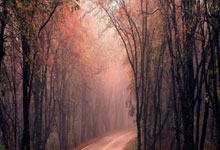 C7娱乐：官方：罗德里荣获2024金球奖 维尼修斯获第二.