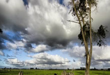 C7娱乐：[CBA]惹不起的“辽三疯” 辽宁胜广东.