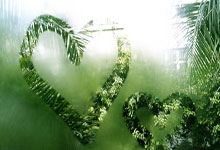 [网球]不敌萨巴伦卡 郑钦文无缘迈阿密赛四强.