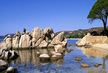 特朗普前儿媳与泰格·伍兹相拥躺吊床，恋情官宣，伊万卡打破沉默.